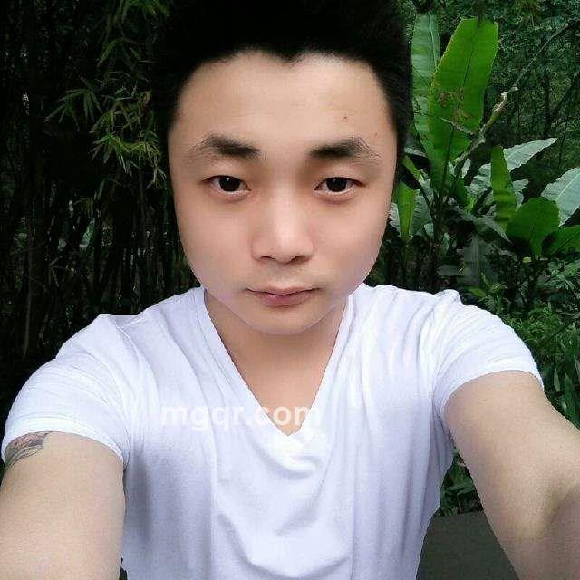 南柯先生的头像