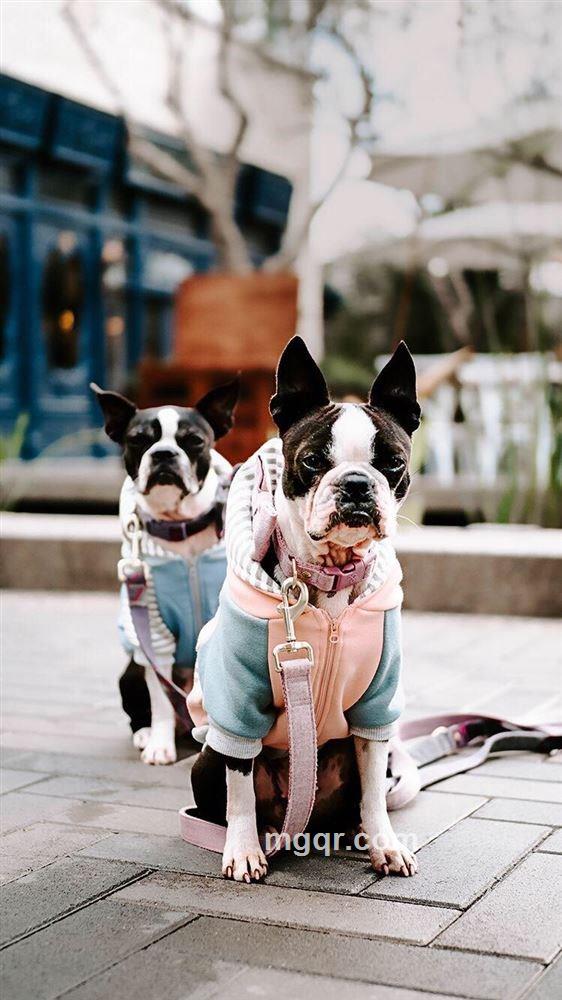 海阔天空的头像