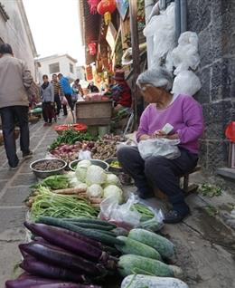 苹果哥哥的头像