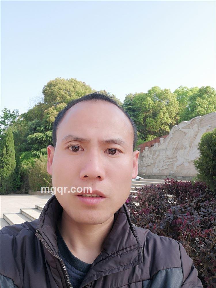 单身情歌的头像