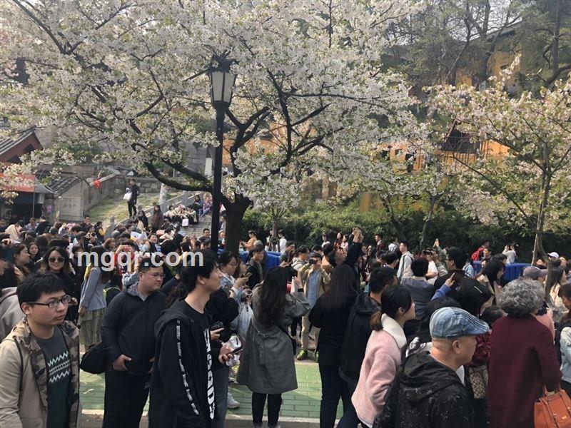 往后余生的头像