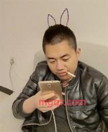 摩比莫察的头像