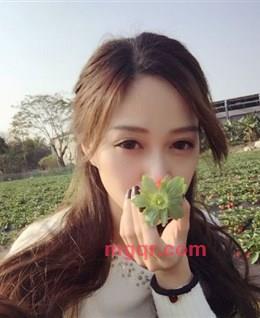 小兔叽乖乖的头像