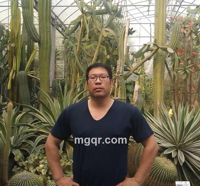 唐伯虎點蚊香的头像