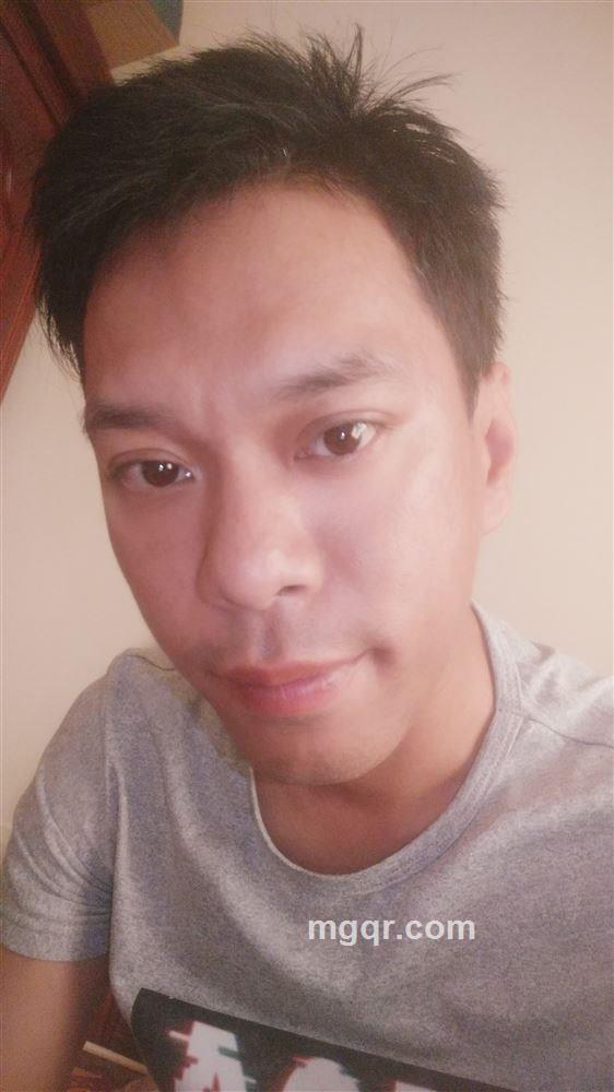 旋转木马的头像