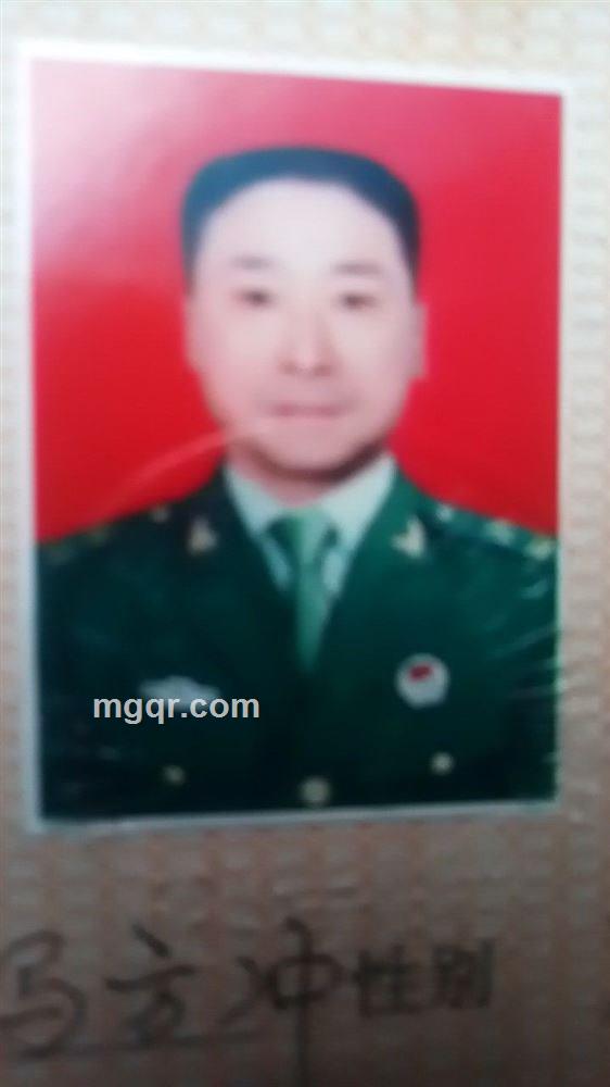 中部军威之战狼的头像