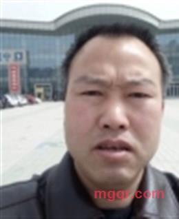 rock482140的头像