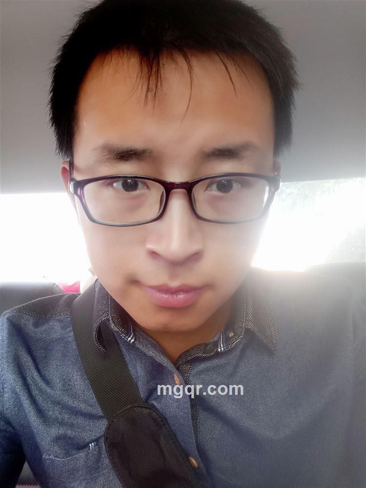 猛的像泰迪的头像