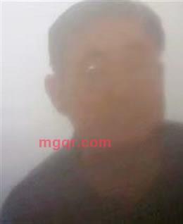 黄叶泛绿的头像