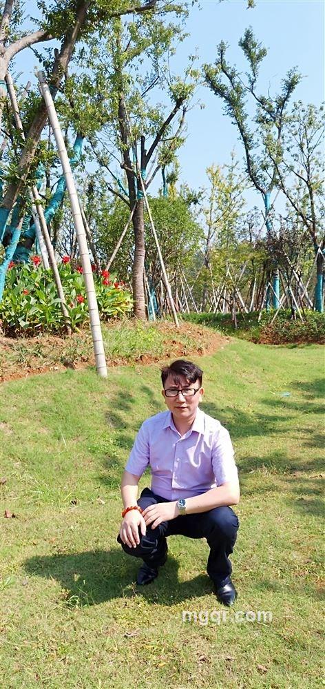 阳光先生的头像