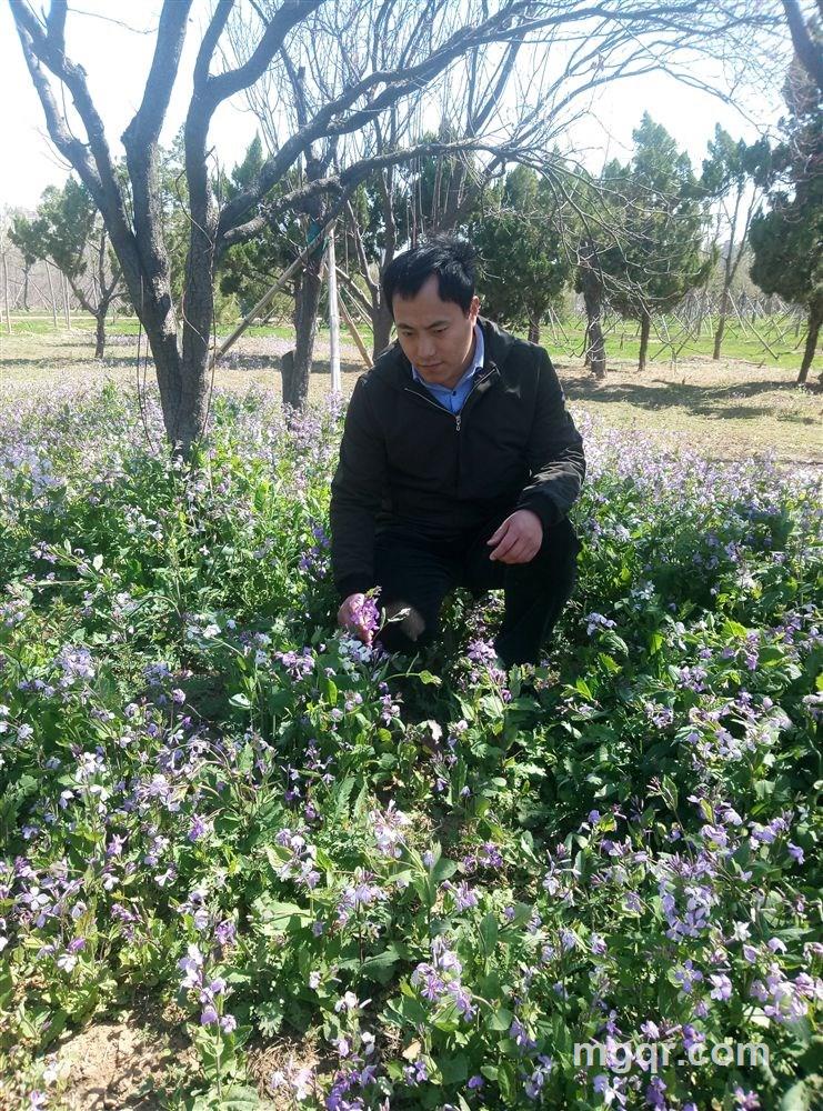 爱情小丸子的头像