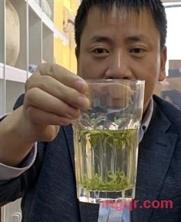 游走四海的狼