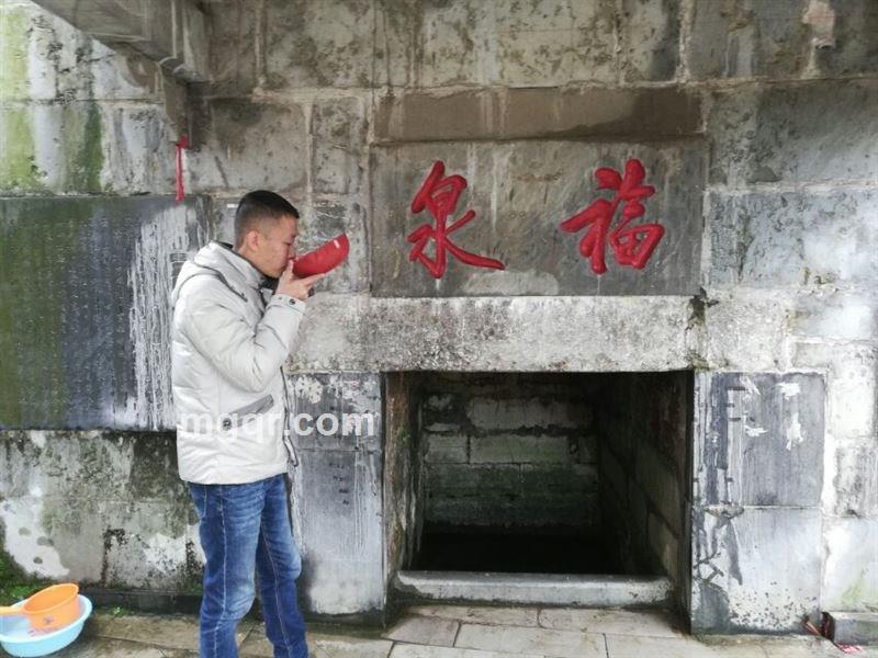 贵州毛驴的头像