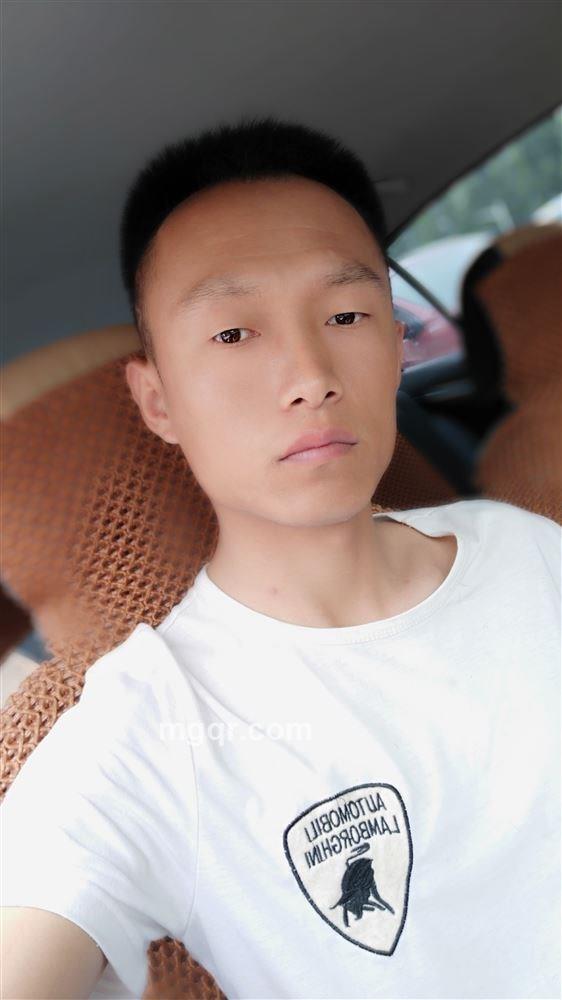 灰色枫叶的头像