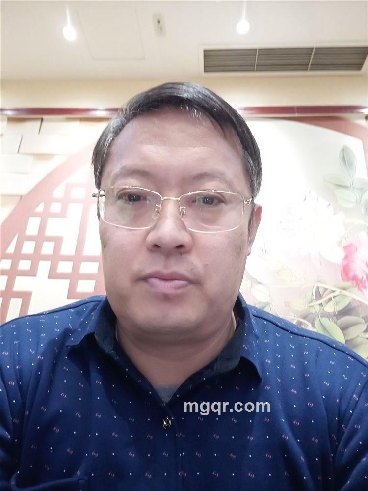 何日君再来的头像