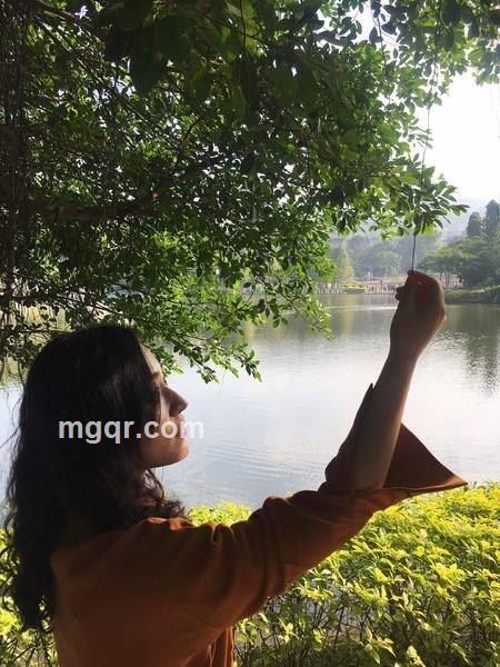 一网情深的头像