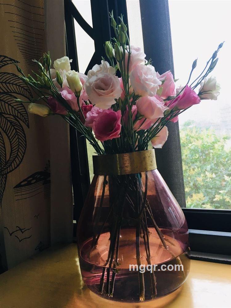 聚散有时的头像