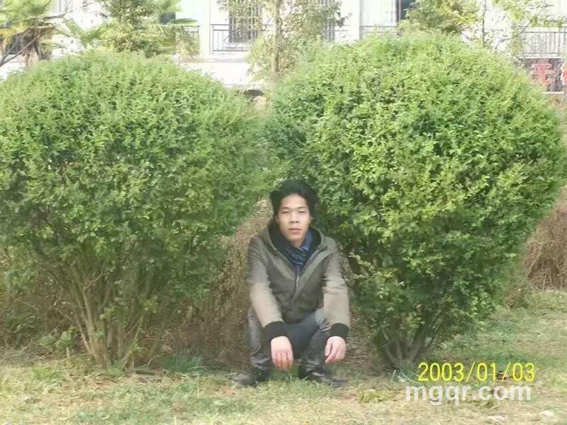 天涯你好的头像