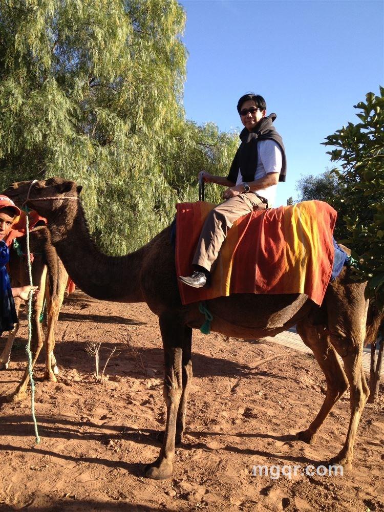 飞翔flyer的头像