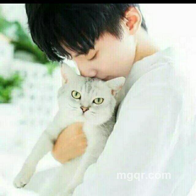 十步杀一人千里不留行的头像