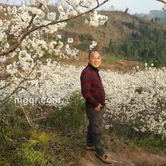 缺钱的主的头像