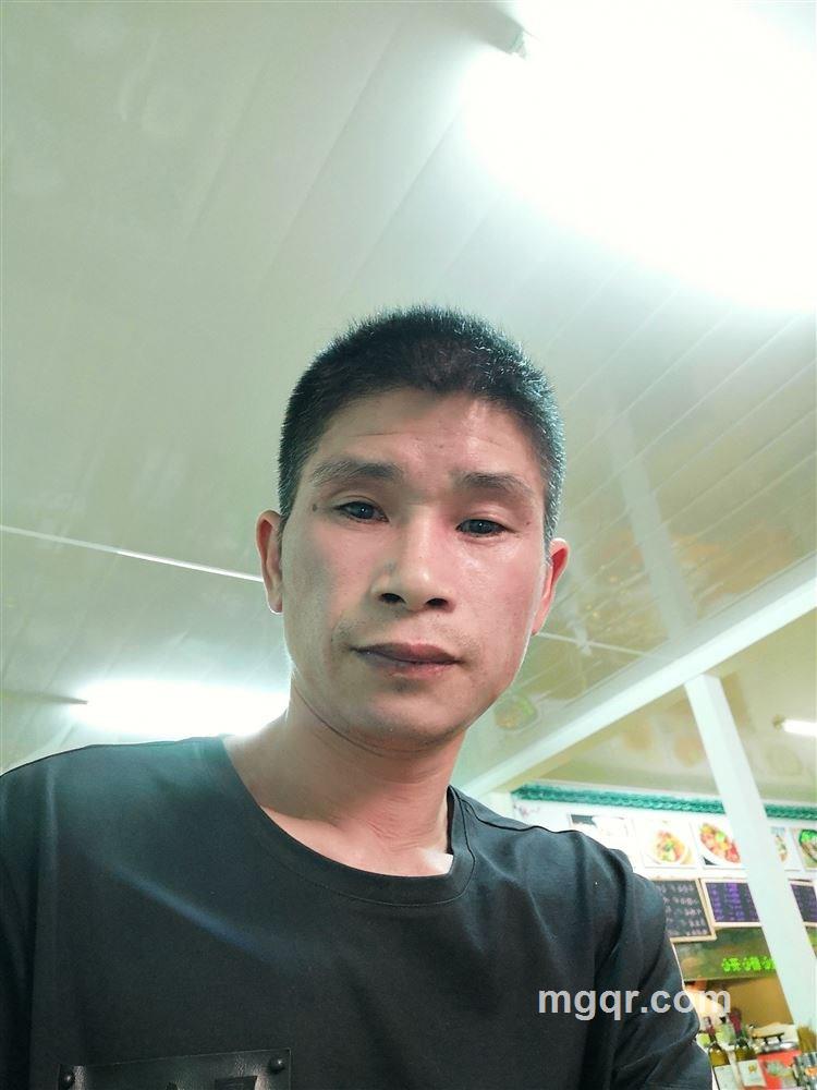 自由的风的头像