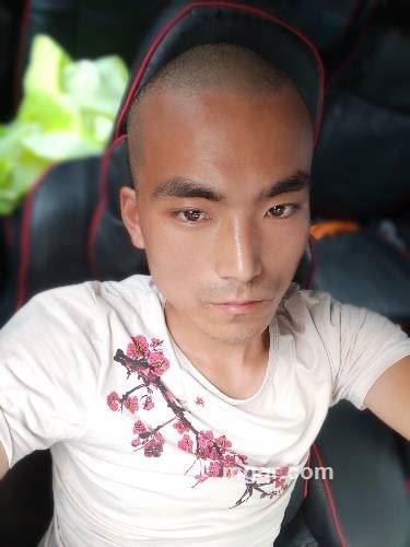 崛起的头像