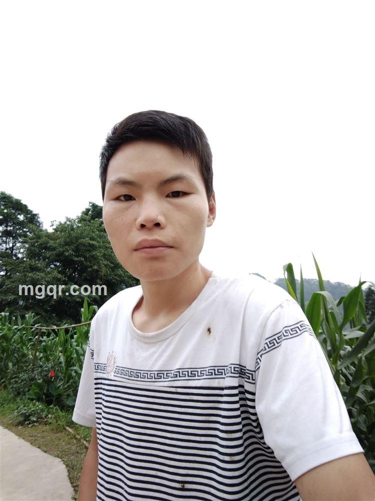 凌乱的年华的头像