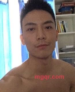 飞翔的猫头鹰的头像