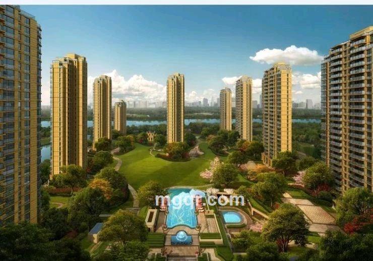 男人的好的头像