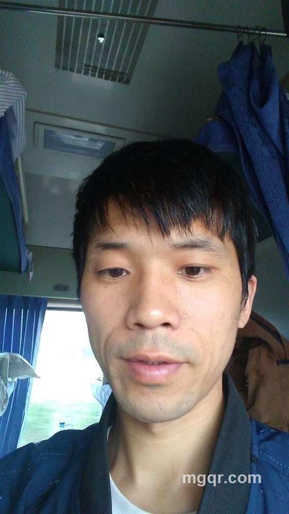 放飞自我的头像