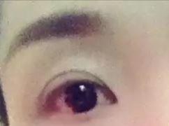 有缘千里来相会的头像