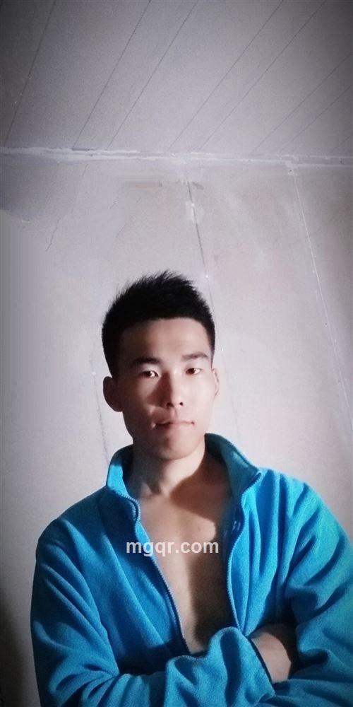 丢了幸福的猪的头像