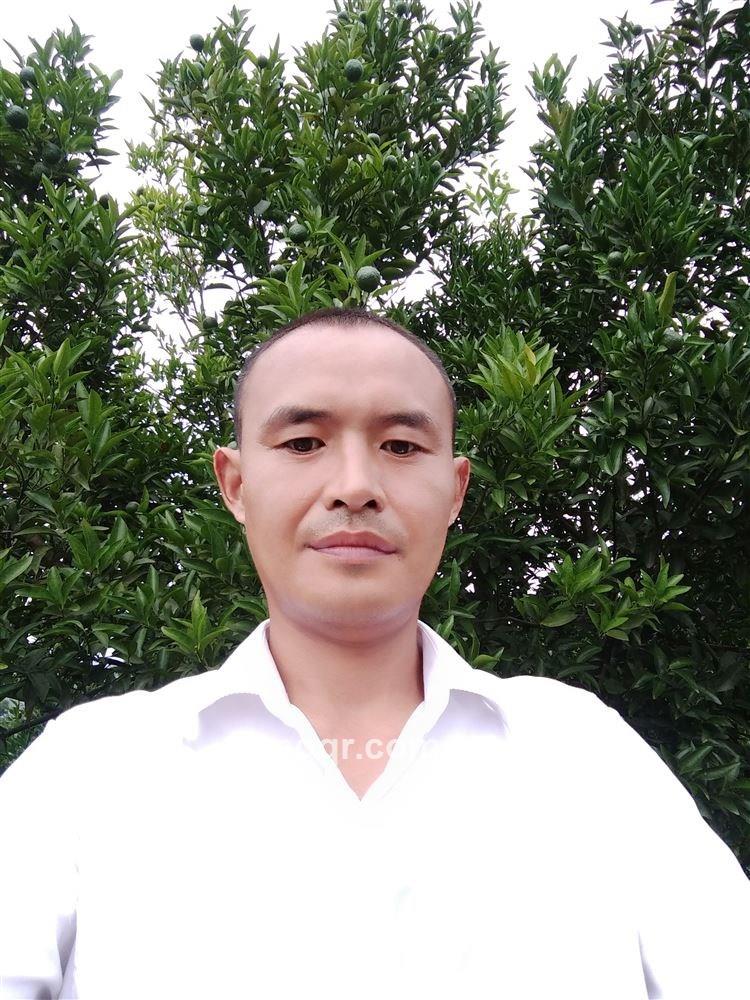 漫步人生的头像