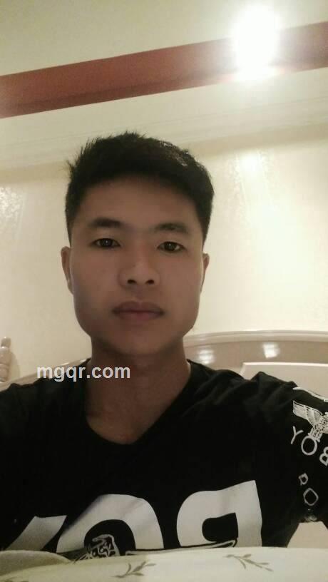 蓝色飞鸟的头像