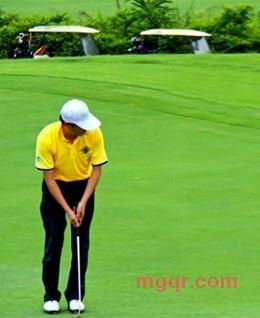 人生如茶的头像