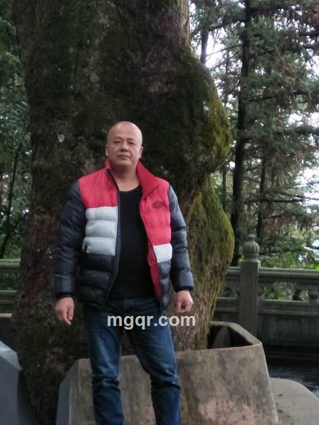 【龙腾虎跃】的头像