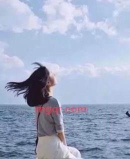 半颗糖苦了心的头像