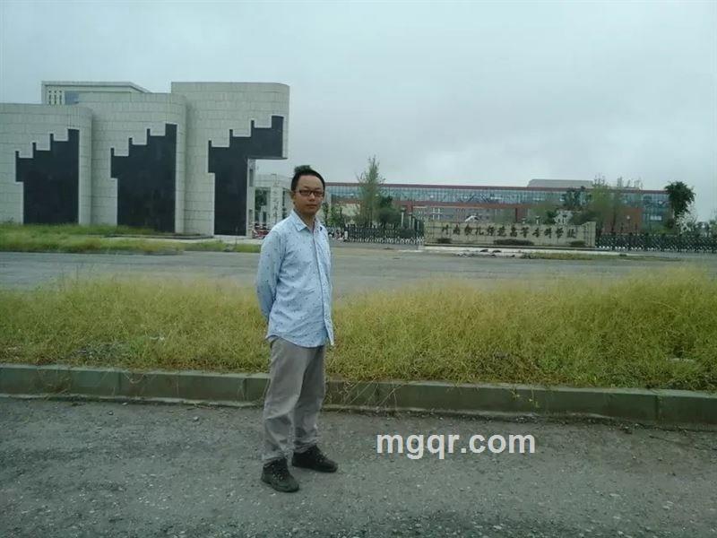 奔跑的白马的头像