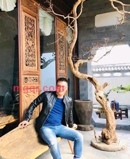 风起长辉的头像