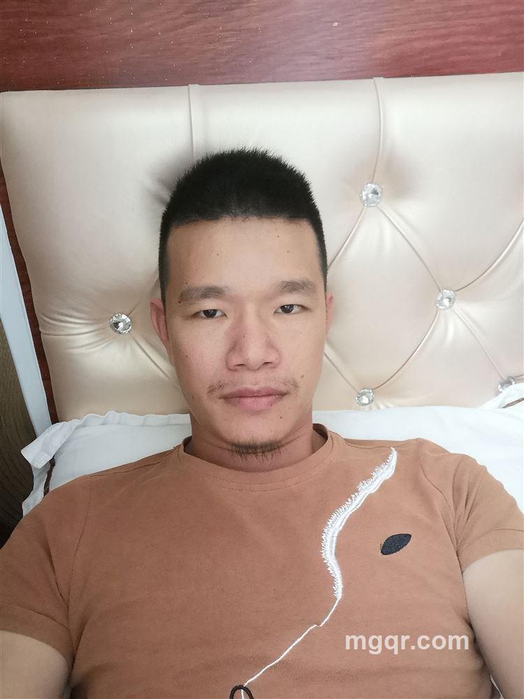 一夜追情的头像