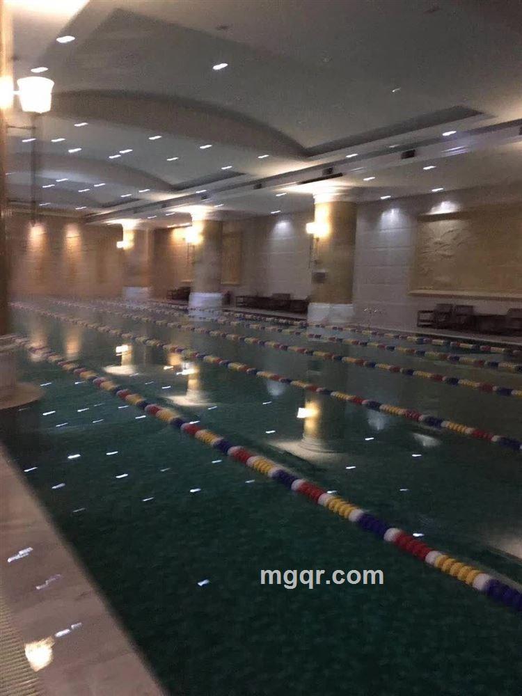 空白冷月的头像