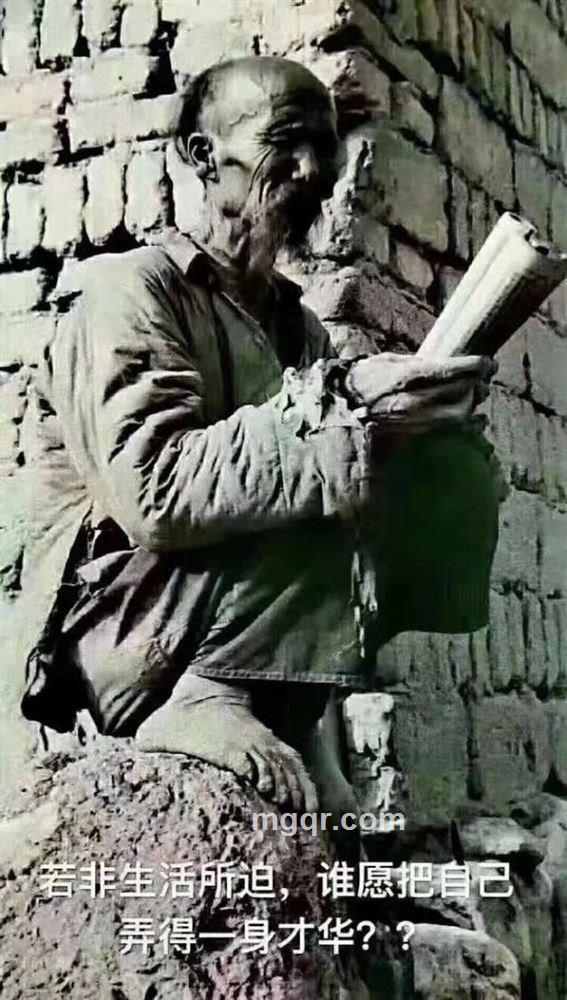 子不语的头像