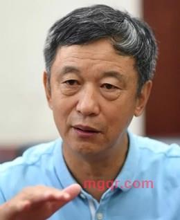 雪落香杉树的头像