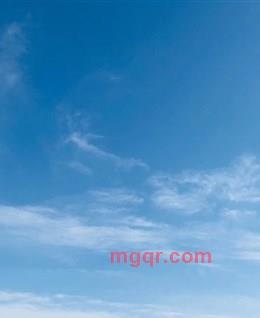 清风明月C的头像