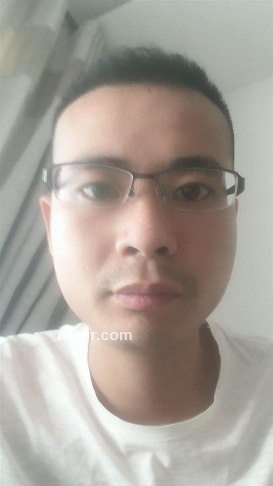 灵舌一条的头像