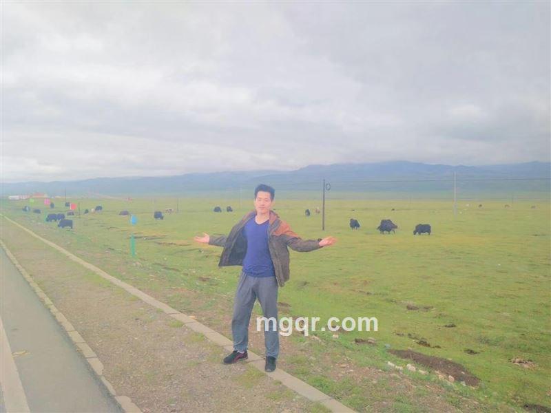 冰山一角的头像