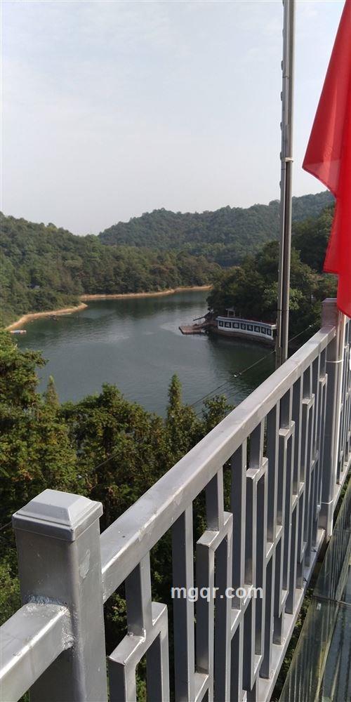 寻找真爱的头像