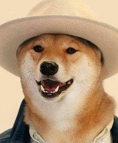 一晚上都不睡的头像