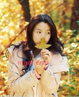 古月金钱的头像